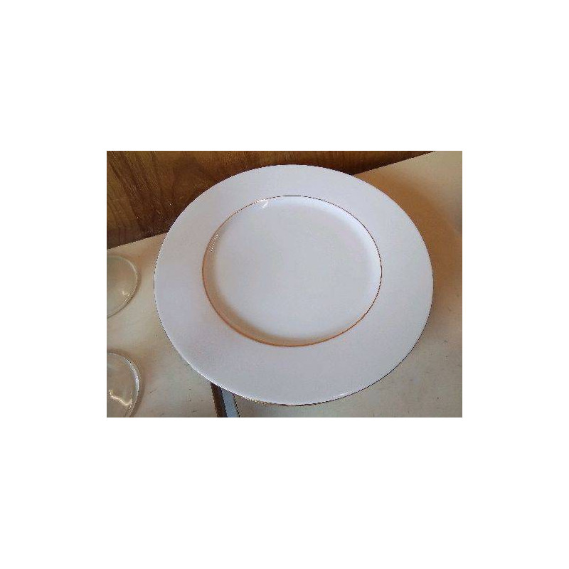 LOT DE 4 ASSIETTES EN PORCELAINE 
