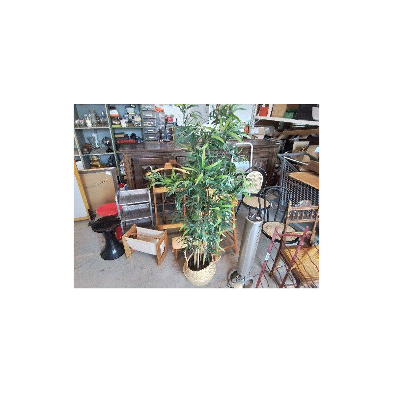 BAMBOU AVEC SON PANIER