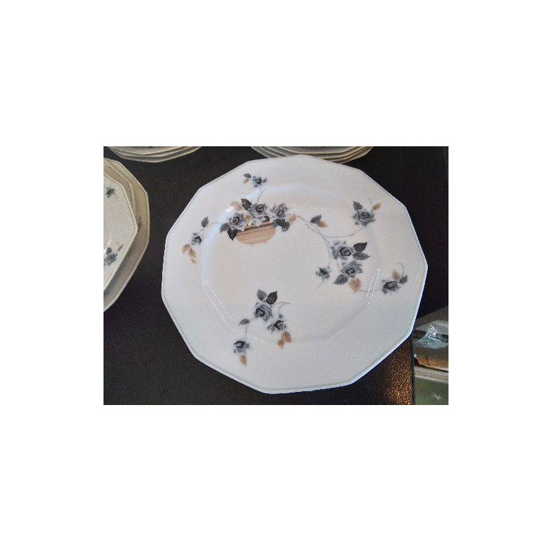 LOT DE 10 ASSIETTES EN PORCELAINE 