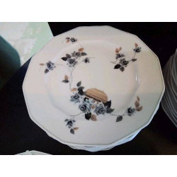 LOT DE 10 ASSIETTES EN PORCELAINE 