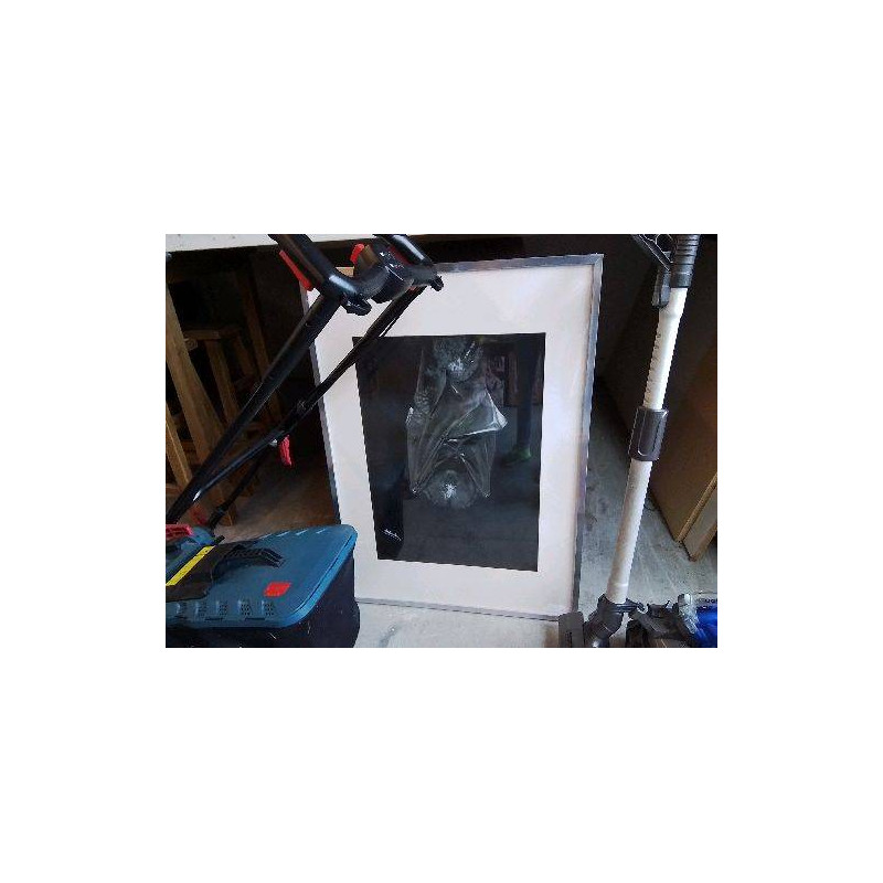 TABLEAU CHAUVE SOURIS SIGNÉ BLANDINE