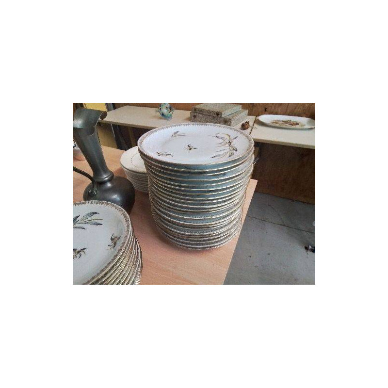 LOT 11 GRANDES ASSIETTES EN PORCELAINE 