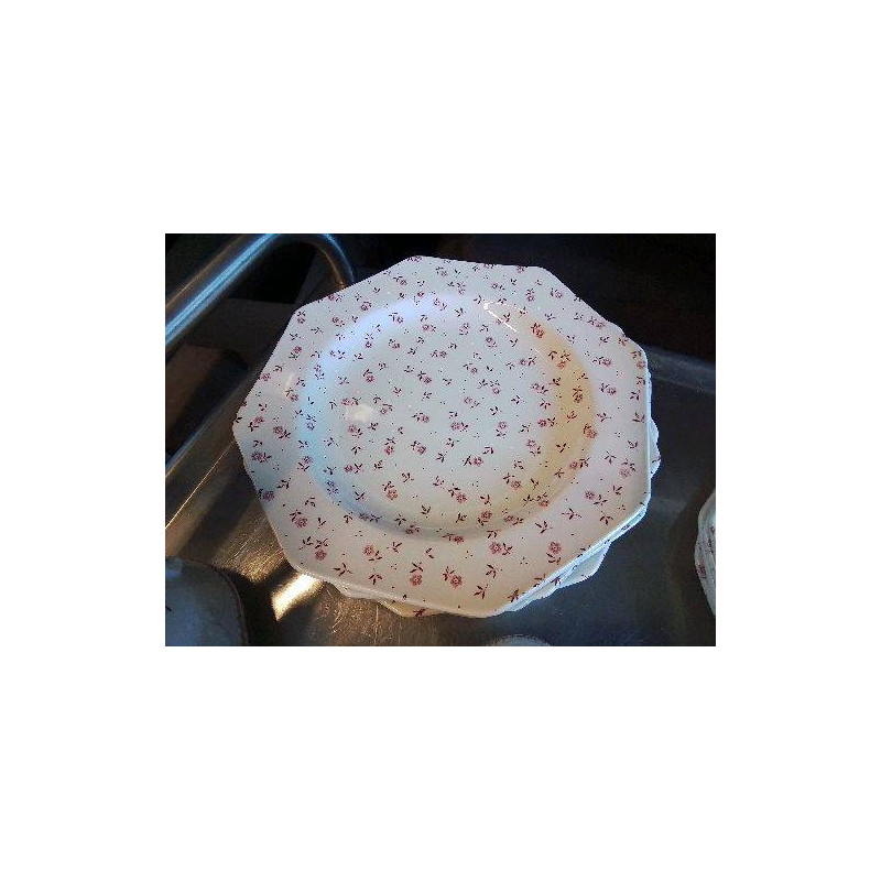 LOT DE 9 ASSIETTES PLATES