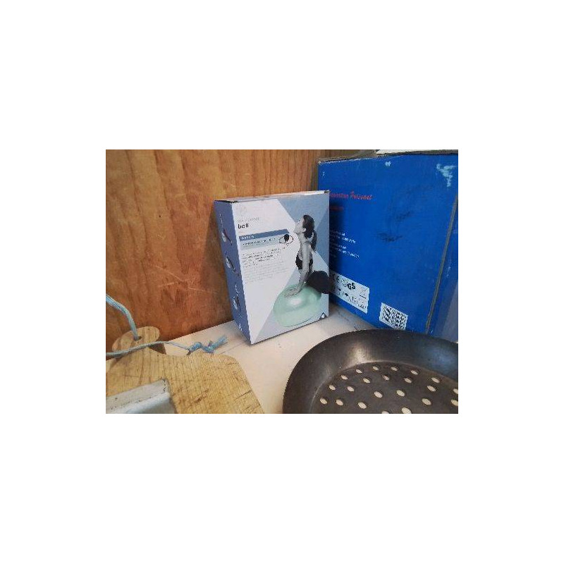 BALLON DE GYMNASTIQUE 