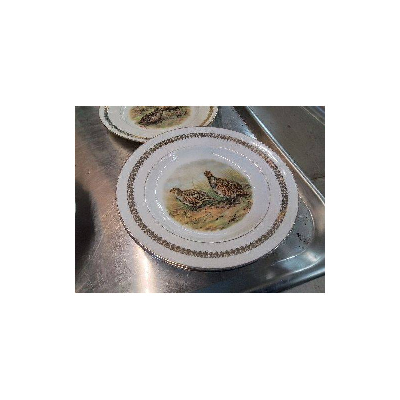 LOT 2 ASSIETTES CREUSES 