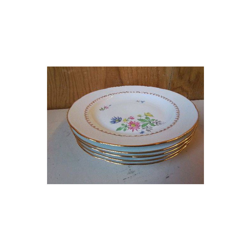 LOT DE 5 ASSIETTES EN PORCELAINE 