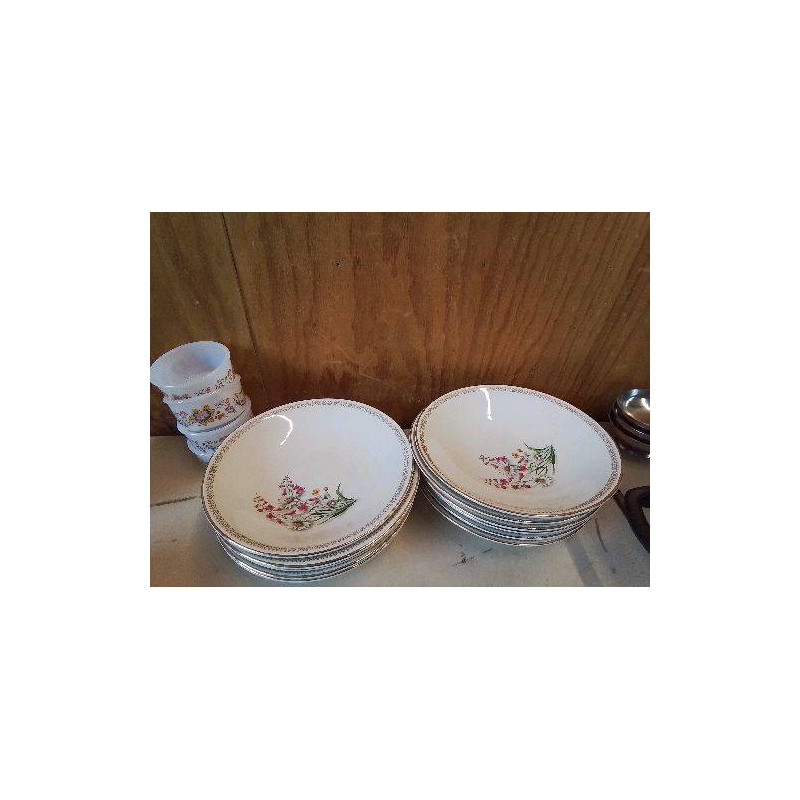 LOT DE 11 ASSIETTE CREUSE MOTIF FLORAL 