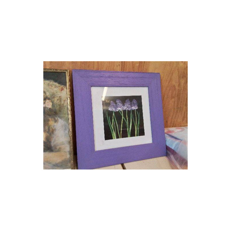 TABLEAU AUX JACINTHES