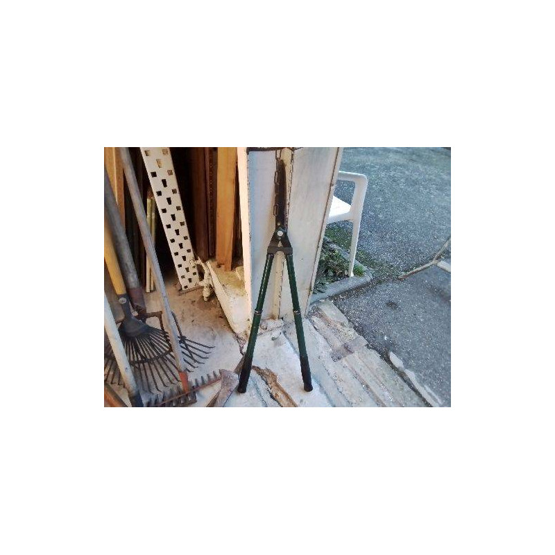 CISAILLE COUPE BRANCHE VERT 