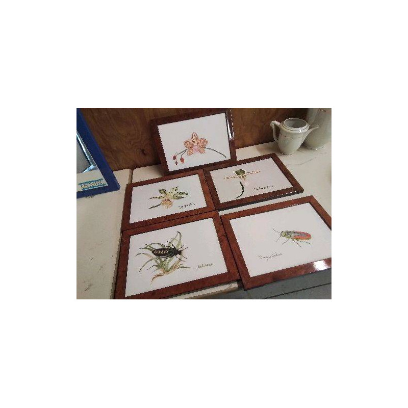 BRODERIE THEMATOQUE NATURE