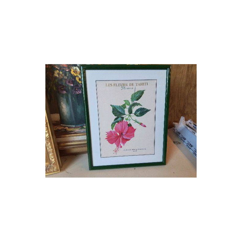 CADRE FLEUR DE TAHITI