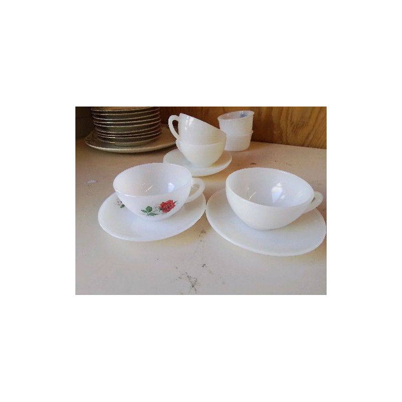 TASSE EN ARCOPAL 