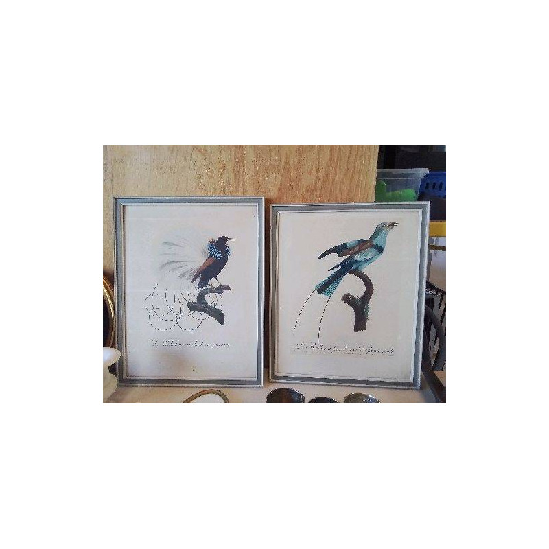 CADRE OISEAUX 