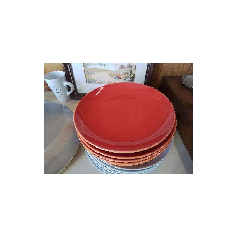 LOT DE 6 ASSIETTES PLATES 