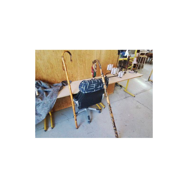 CANNE BATON DE MARCHE 