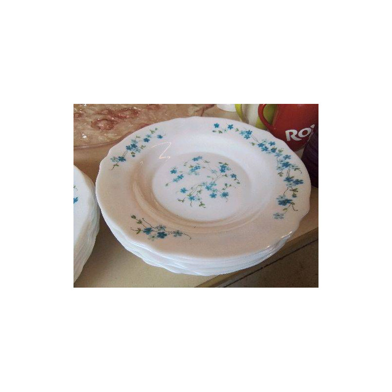 LOT DE 6 ASSIETTES MOTIFS MYOSOTIS 