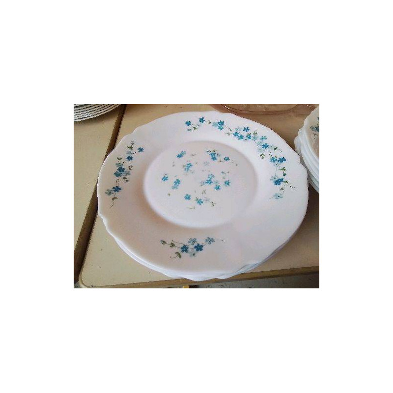 LOT DE 7 ASSIETTES PLATES MOTIF MYOSOTIS 