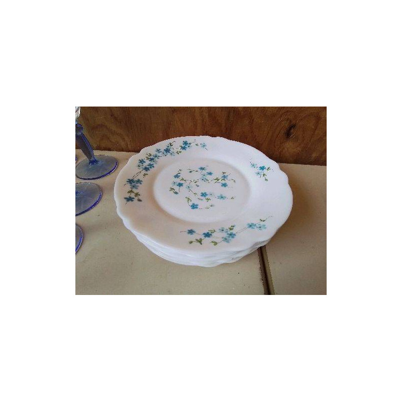 LOT DE 10 ASSIETTES A DESSERT MOTIF MYOSOTIS 