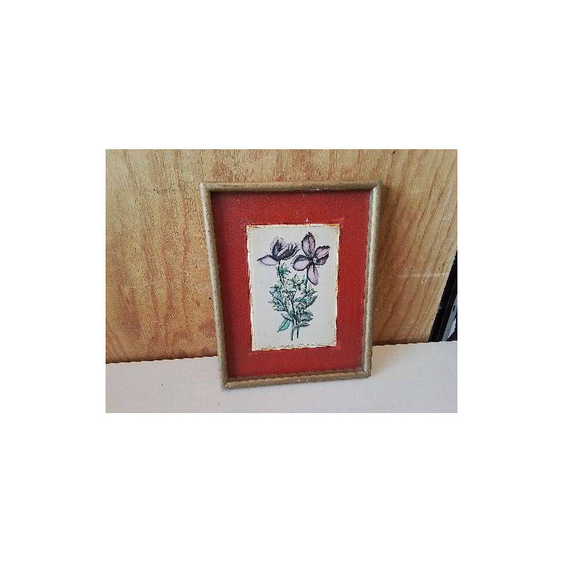 IMPRESSION DE PAPAVER SOMNIFERUM