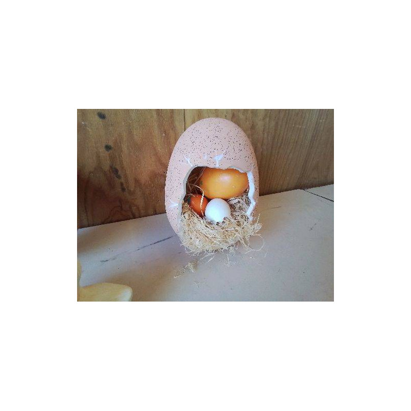 DECORATION OEUF 
