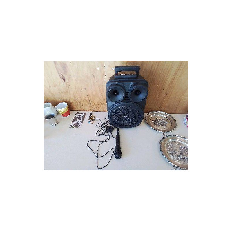 ENCEINTE KOOLSTAR KARAOKE