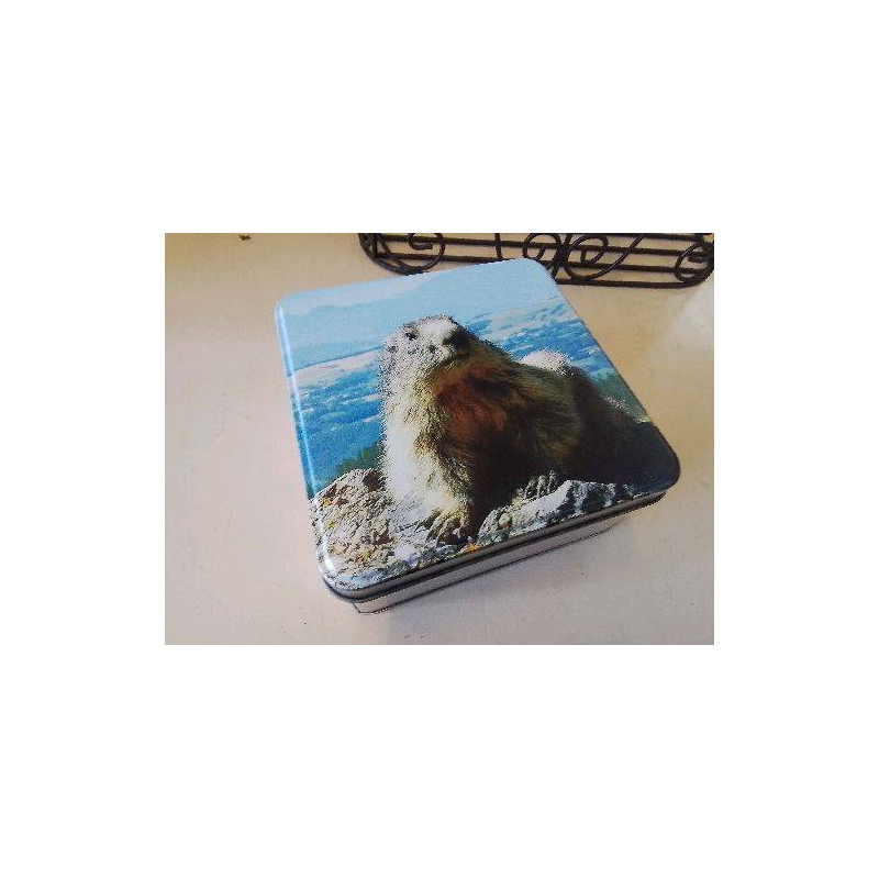 BOITE MARMOTTE