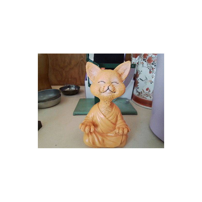 CHAT MOINE 