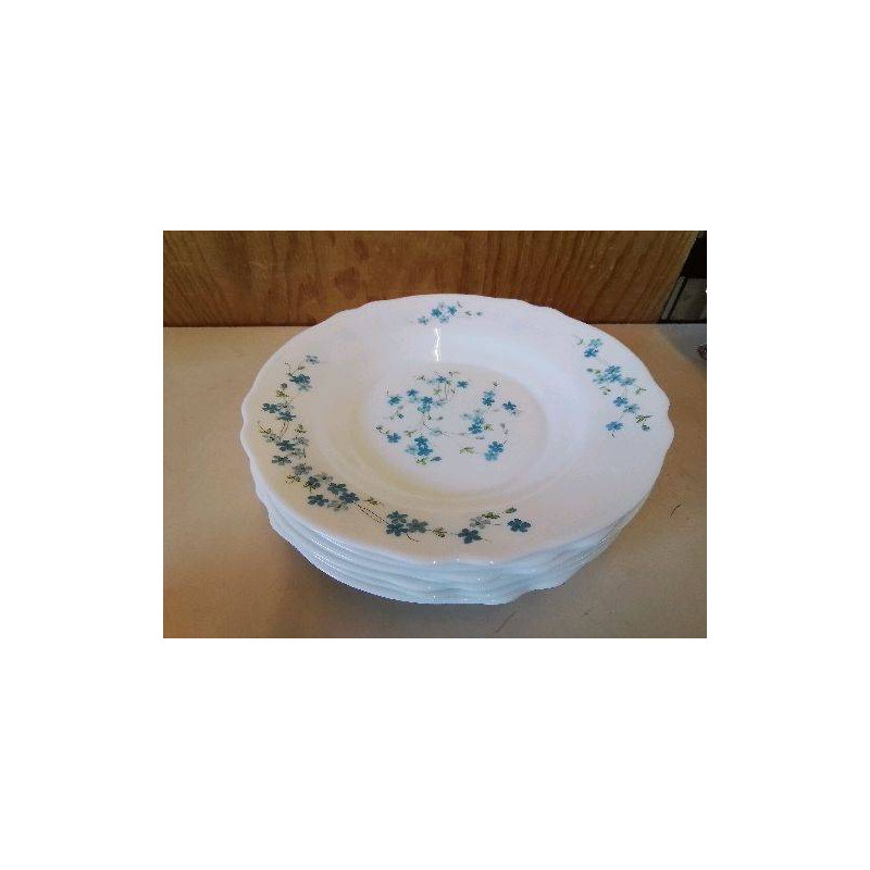 LOT DE 7 ASSIETTES MYOSOTIS 