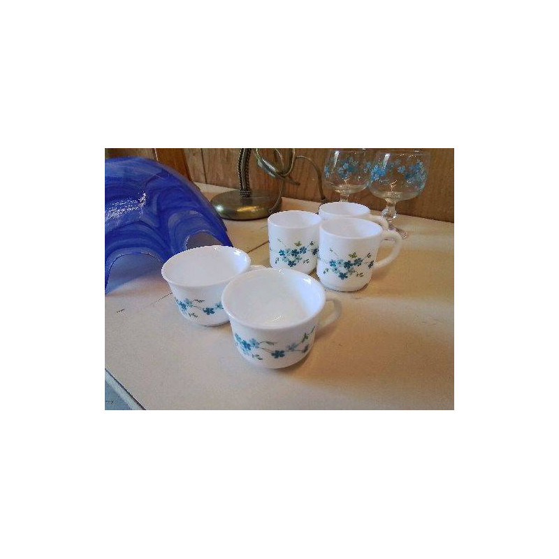TASSE MYOSOTIS