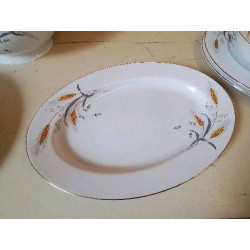 PLAT EN PORCELAINE 