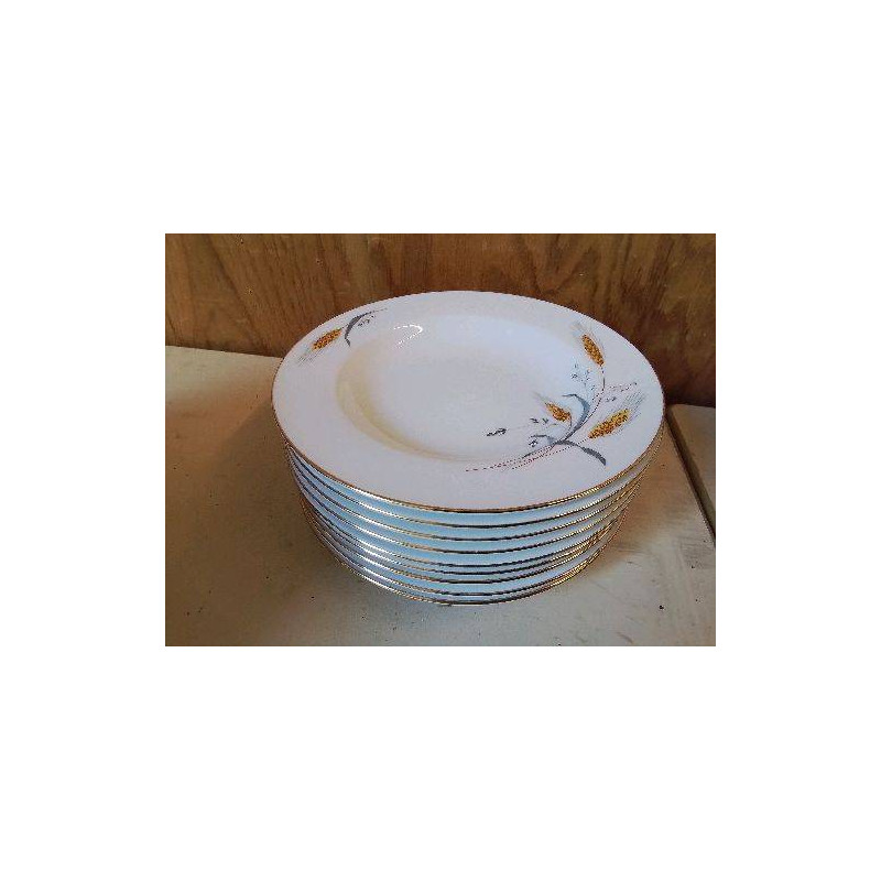 LOT DE 9 ASSIETTES CREUSES EN PORCELAINE 