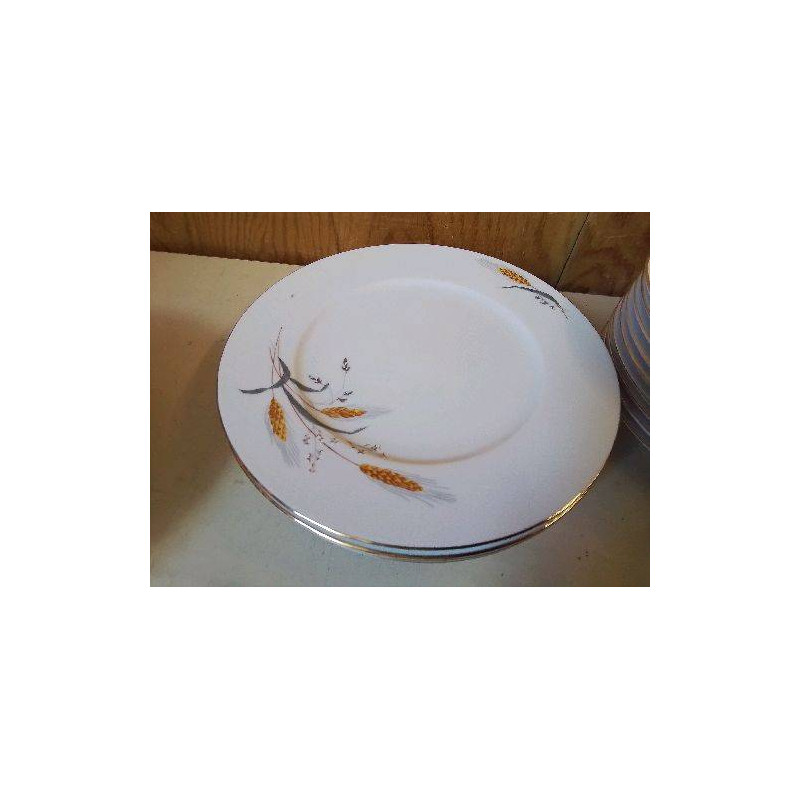 LOT DE 6 ASSIETTES EN PORCELAINE 