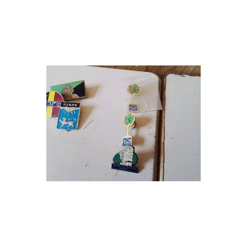 PINS VICHY