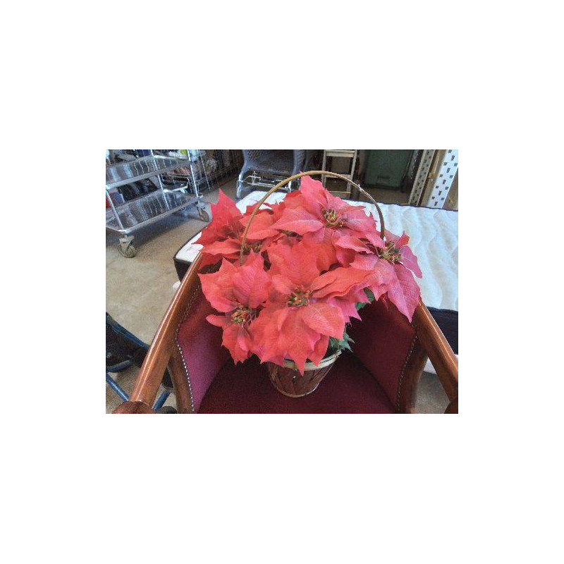 PANIER À FLEURS 