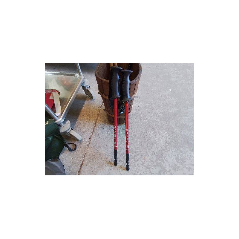 PAIR DE BATON DE RANDONNÉE 