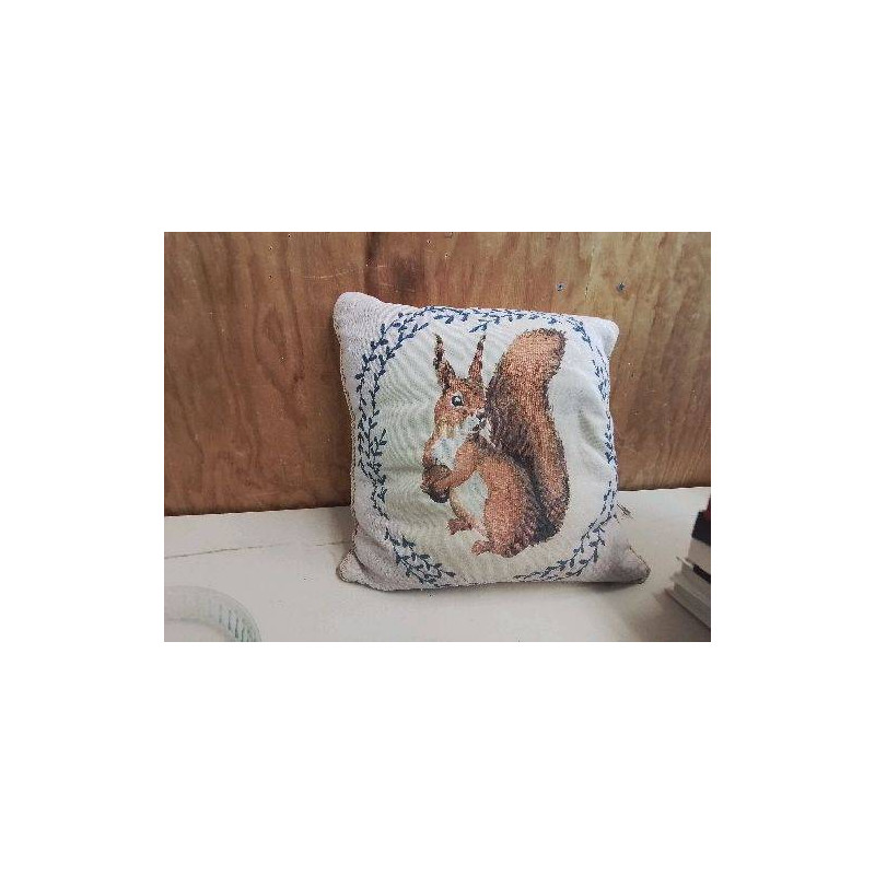 COUSSIN ECUREUIL
