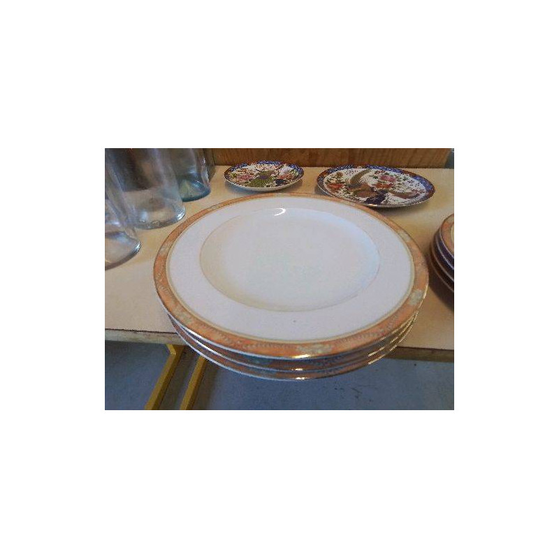 LOT DE 4 ASSIETTES PLATES PORCELAINE 