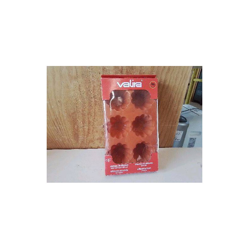 MOULE EN SILICONE 