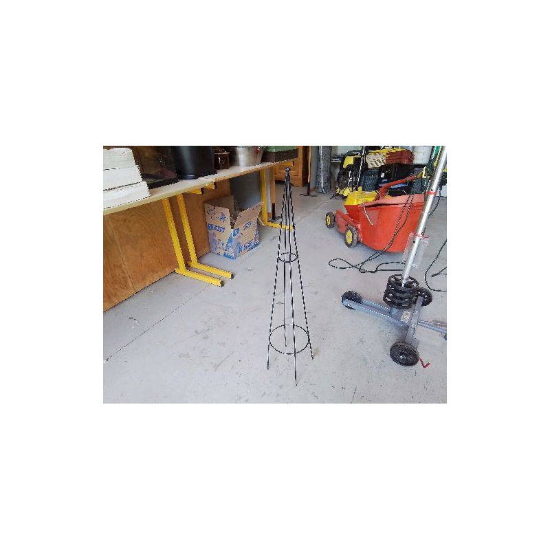 STRUCTURE PLANTE GRIMPANTE 