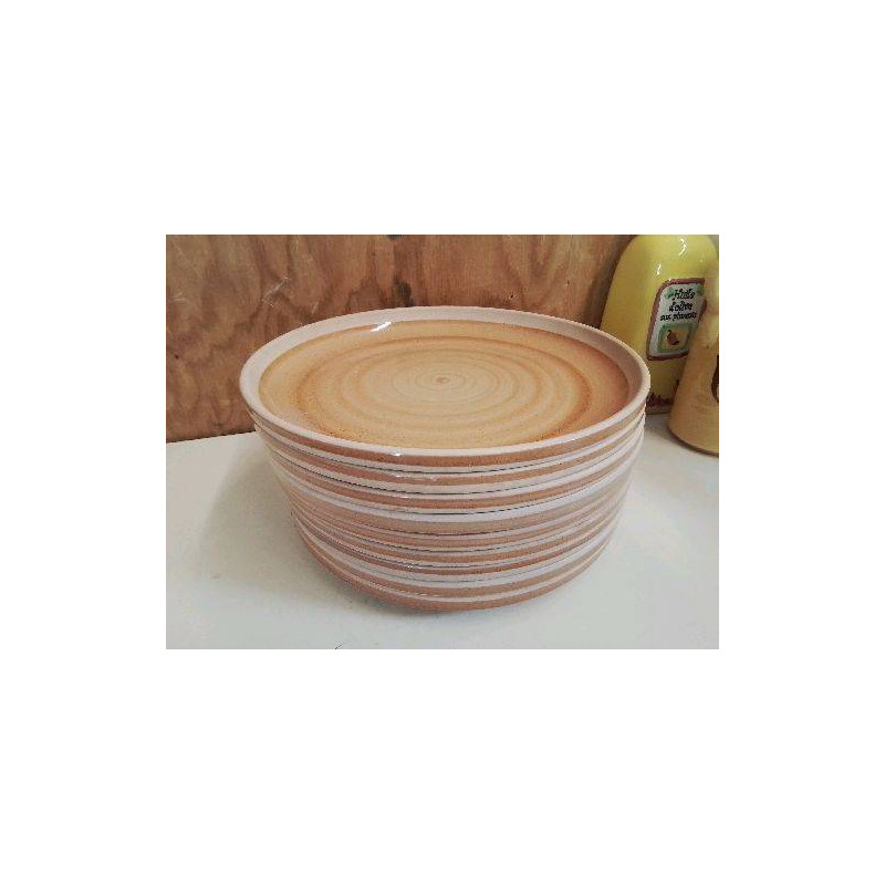 LOT DE 9 ASSIETTES EN GRES 