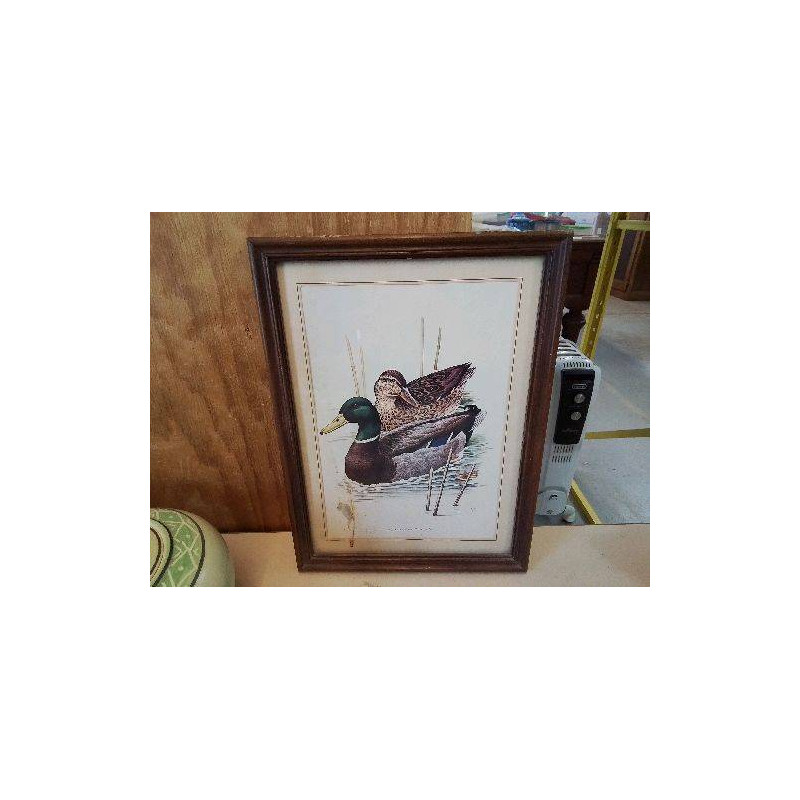 CADRE DECO CANARD 