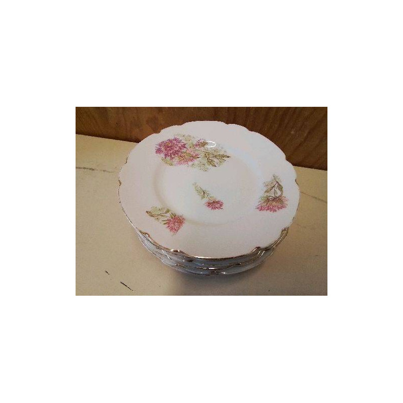 LOT DE 5 ASSIETTES A DESSERT 