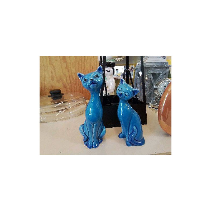 CHAT BLEU 