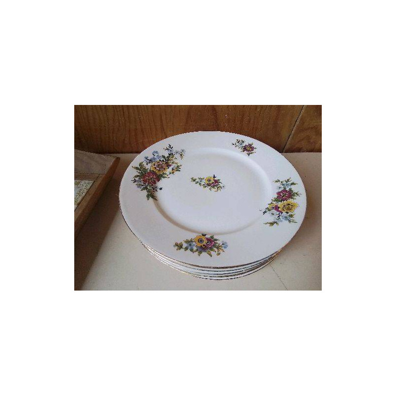 LOT DE 6 ASSIETTES EN PORCELAINE 