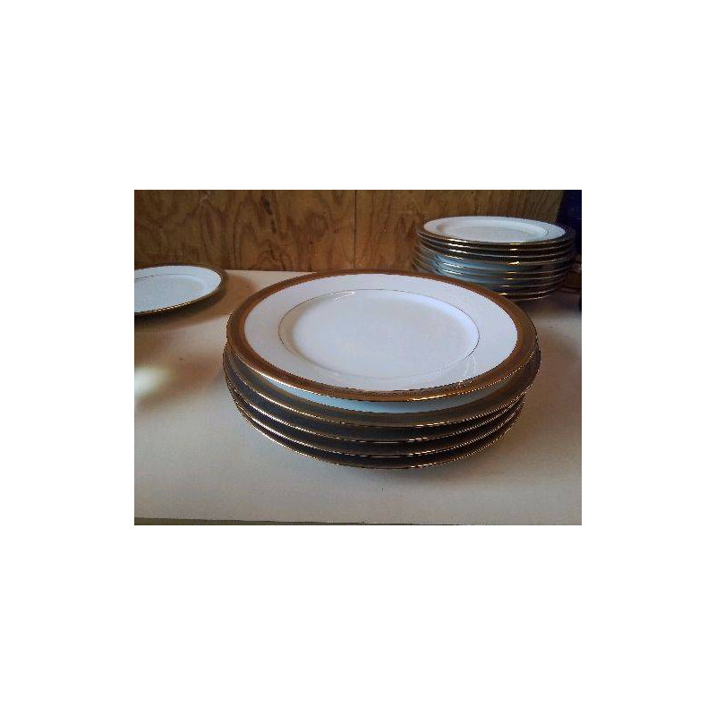 LOT DE 5 ASSIETTES PLATES 