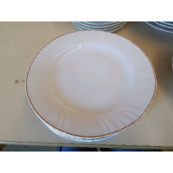 LOT DE 6 ASSIETTES EN PORCELAINE 