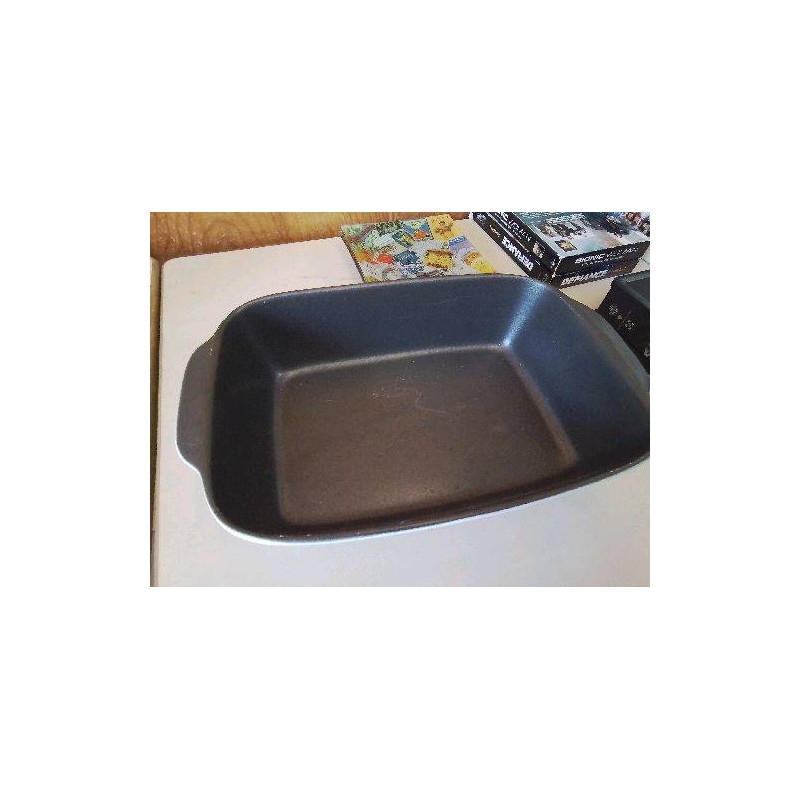PLAT A GRATIN 