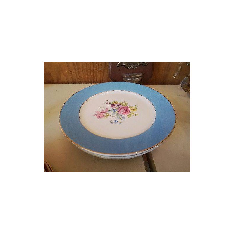 LOT DE 5 ASSIETTES PLATES EN PORCELAINE DE DIGOIN 