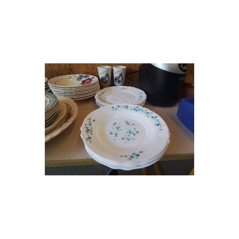 ASSIETTE ARCOPAL MOTIF FLORAL 