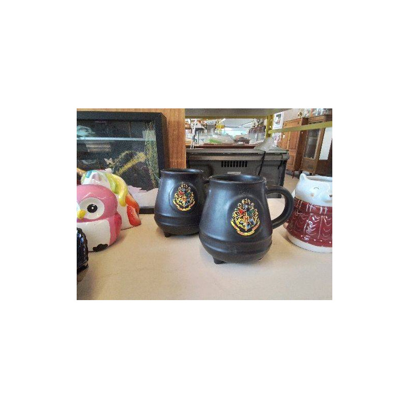 TASSE CHAUDRON HARRY POTTER